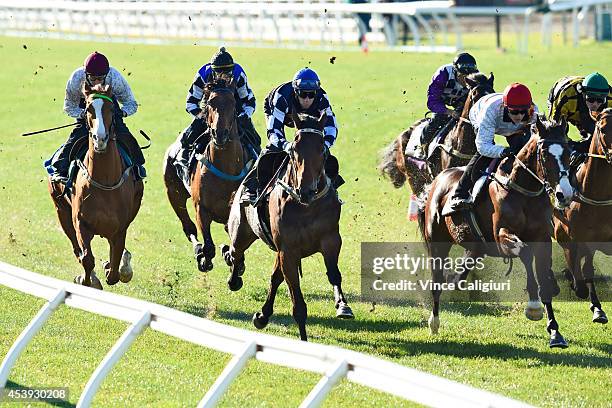 Chad Schofield riding Ominous in heat 13 of this mornings jumpout sessions at Flemington Racecourse on August 22, 2014 in Melbourne, Australia.