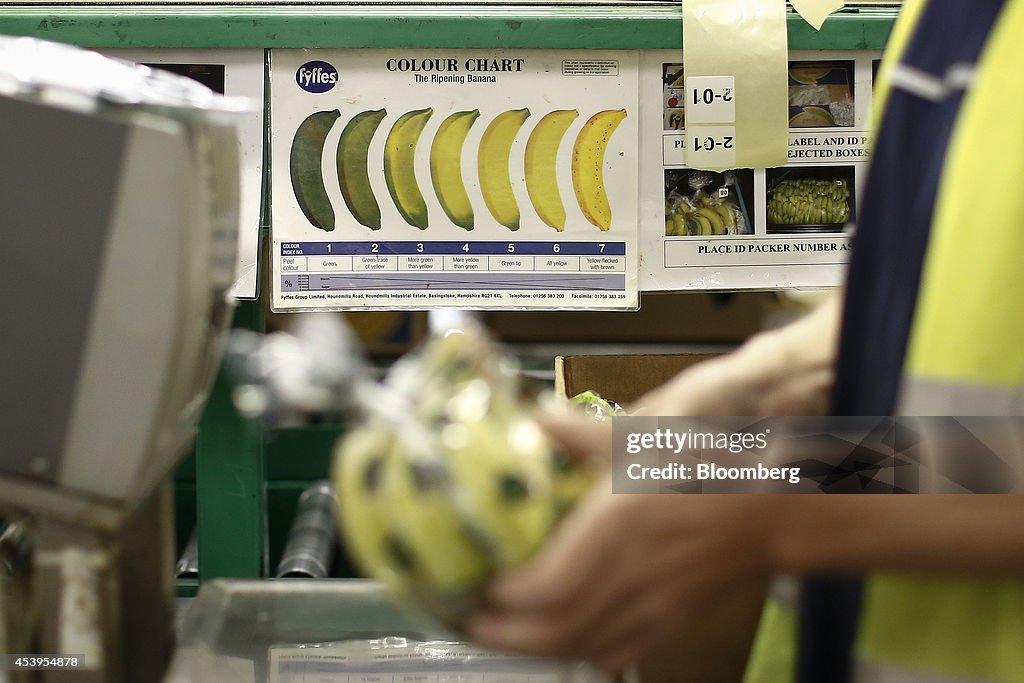 Banana Operations At Fyffes Plc Fruit Ripening And Distribution Center