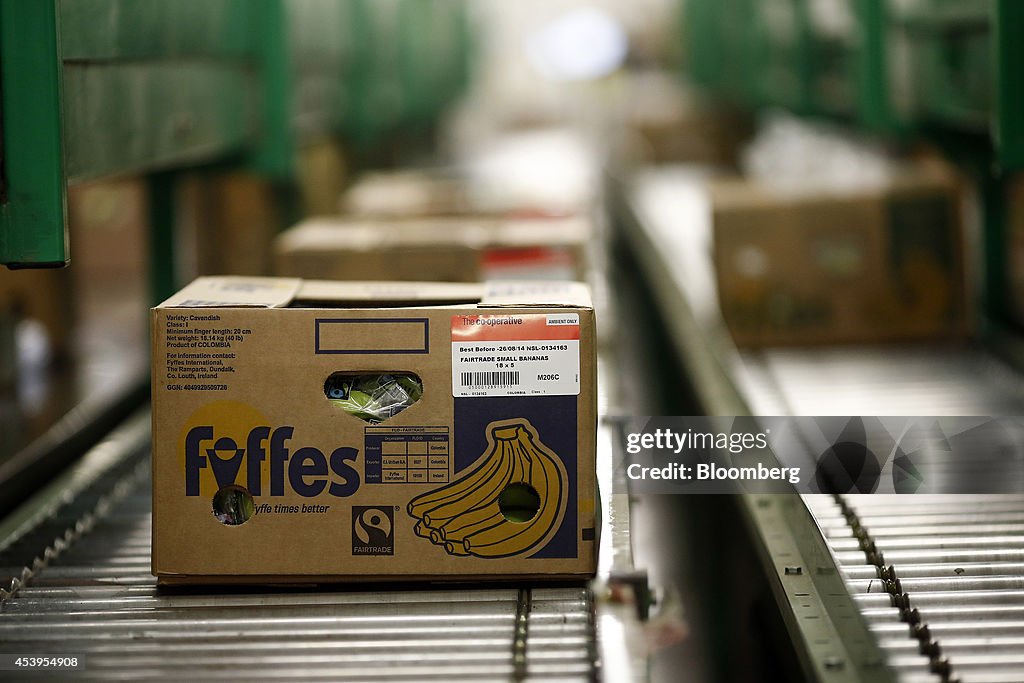 Banana Operations At Fyffes Plc Fruit Ripening And Distribution Center