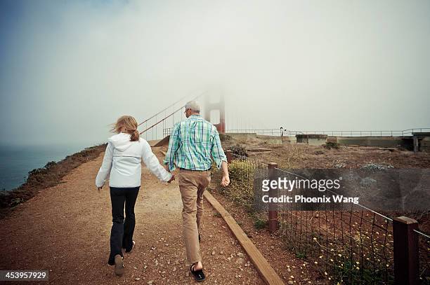companion - bridge fog stock pictures, royalty-free photos & images