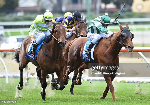 Damian Lane riding Count Encosta defeats Craig Newitt riding Bachelor Royal in Race 2 during Melbourne Racing at Moonee Valley Racecourse on August...