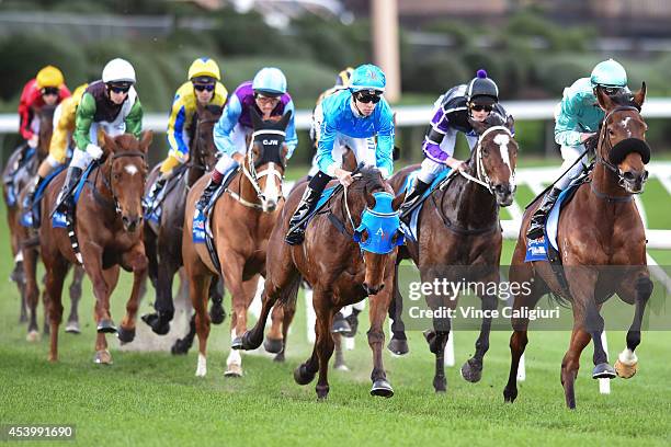 Steven Arnold riding Hippopus leads the field in the first lap in Race 7 during Melbourne Racing at Moonee Valley Racecourse on August 23, 2014 in...