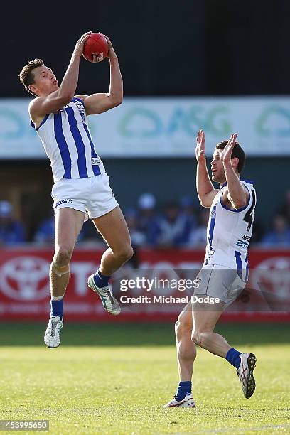 Ben Jacobs of the Kangaroos marks the ball next to Sam Gibson during the round 22 AFL match between the North Melbourne Kangaroos and the Adelaide...