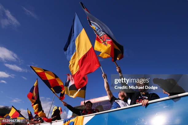 Crows fans celebrate a goal during the round 22 AFL match between the North Melbourne Kangaroos and the Adelaide Crows at Blundstone Arena on August...