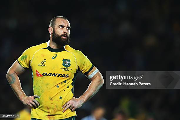 Scott Fardy of Australia looks on after losing The Rugby Championship match between the New Zealand All Blacks and the Australian Wallabies at Eden...