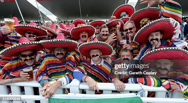 Fans in fancy dress during the Semi Final Natwest T20 Blast match between Birmingham Bears and Surrey at Edgbaston on August 23, 2014 in Birmingham,...