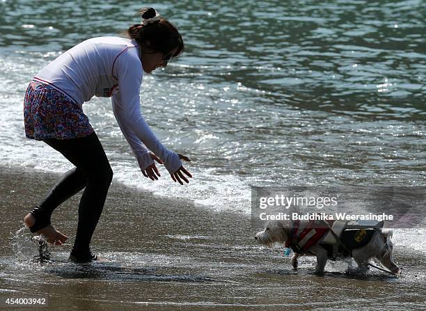 Woman plays with her pet dog at Takeno Beach on August 23, 2014 in Toyooka, Japan. This beach is open for dogs and their owners every summer between...