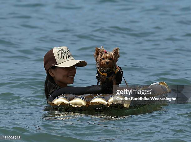 Pet dog wear life jacket and take a bath in the sea with his owner at Takeno Beach on August 23, 2014 in Toyooka, Japan. This beach is open for dogs...