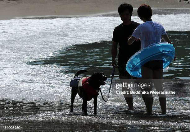 Couple stands and talk with their pet dog at Takeno Beach on August 23, 2014 in Toyooka, Japan. This beach is open for dogs and their owners every...