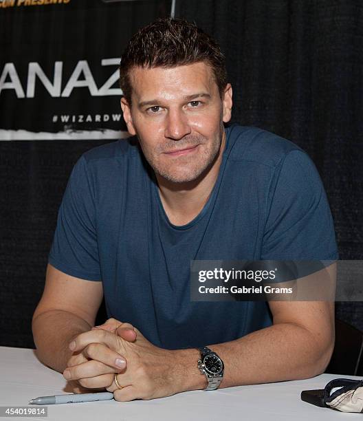 David Boreanaz attends Wizard World Chicago Comic Con 2014 at Donald E. Stephens Convention Center on August 23, 2014 in Chicago, Illinois.