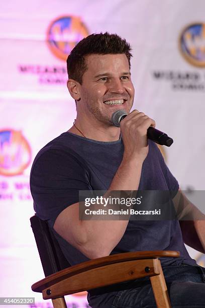 David Boreanaz attends Wizard World Chicago Comic Con 2014 at Donald E. Stephens Convention Center on August 23, 2014 in Chicago, Illinois.