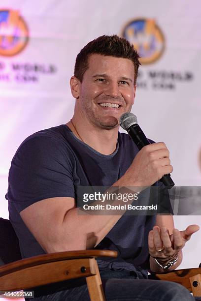David Boreanaz attends Wizard World Chicago Comic Con 2014 at Donald E. Stephens Convention Center on August 23, 2014 in Chicago, Illinois.