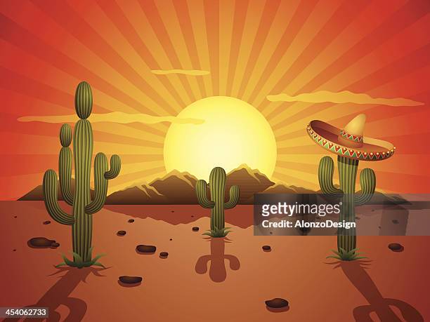 mexikanische desert - sombrero stock-grafiken, -clipart, -cartoons und -symbole