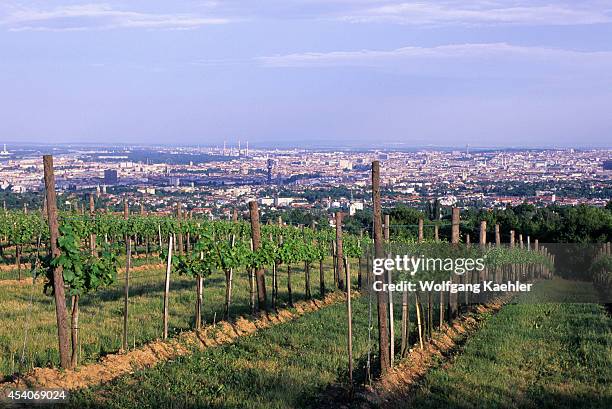Austria, Near Vienna, Grinzing, Vineyards With Vienna In Background.