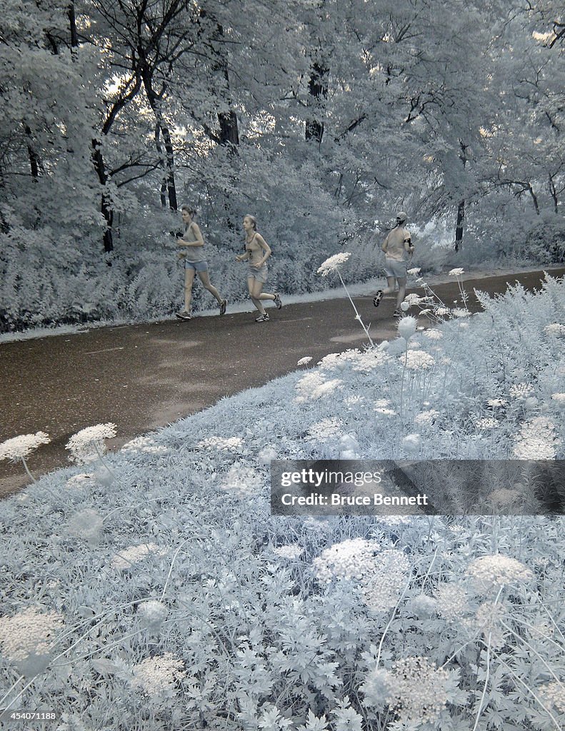 Bethpage Bikeway