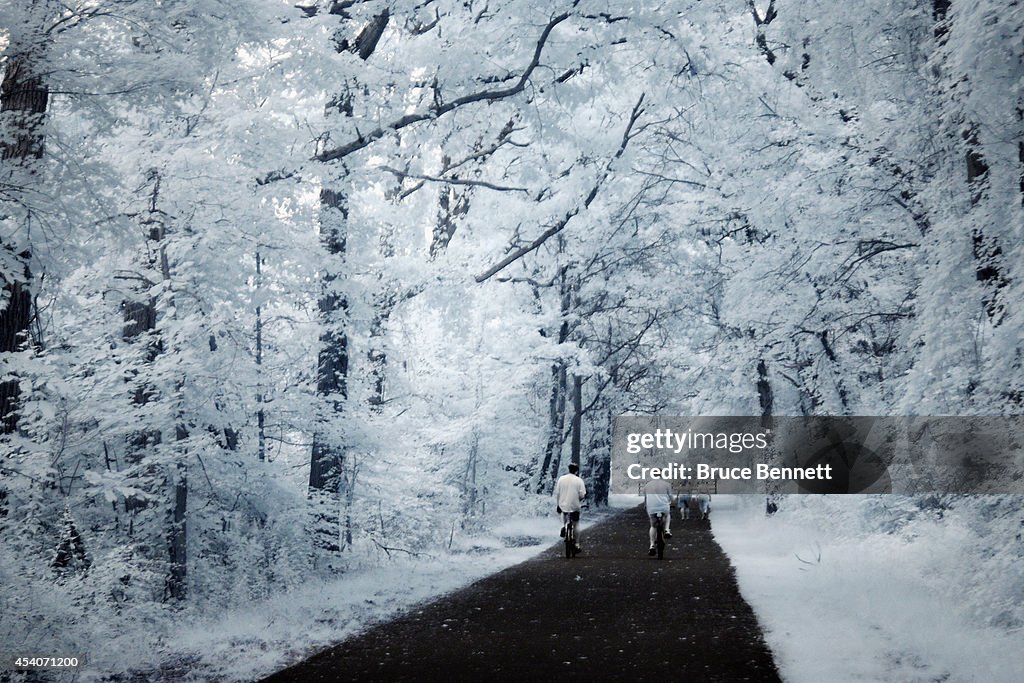 Bethpage Bikeway