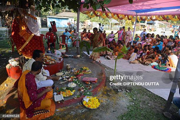 Indian Bengali Hindu devotees perform marriage rituals on a pair of intertwined banyan and peepul trees, adorned with symbolic traditional Saree and...