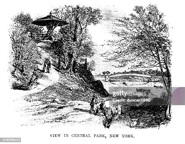 blick auf central park, new york - central park manhattan stock-grafiken, -clipart, -cartoons und -symbole