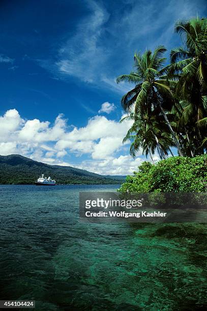 Solomon Islands, Rendova Lagoon, Lubaria Island, Coconut Palms With Ms Explorer.