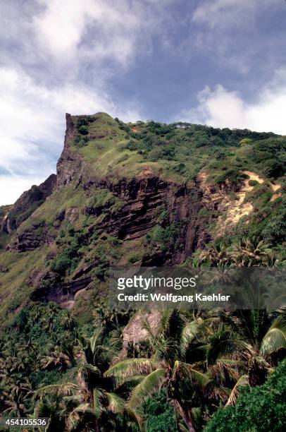 Pitcairn Island, Landscape With Coconut Palm Trees.