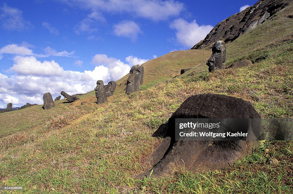 Lake Raraku Easter Island, Rano Raraku Quarry, Moai Statues On Hillside. News Photo ...
