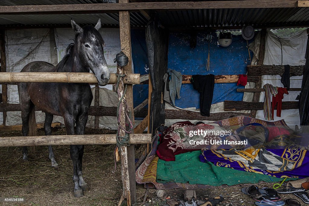 Locals Gather For The Takengon Horse Races