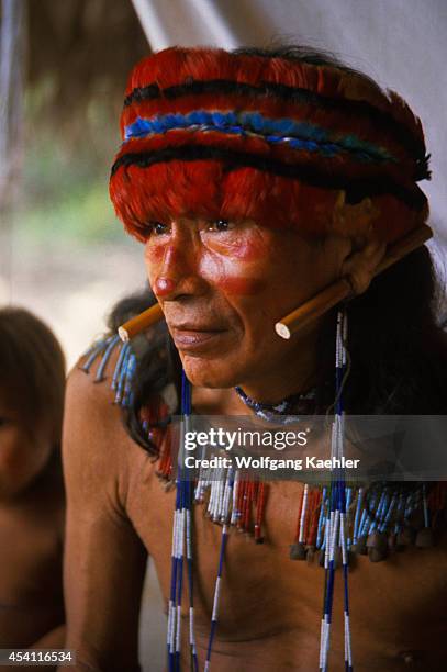 Amazon River, Portrait Of Jivaro Indian, With Macaw Feather Headdress.