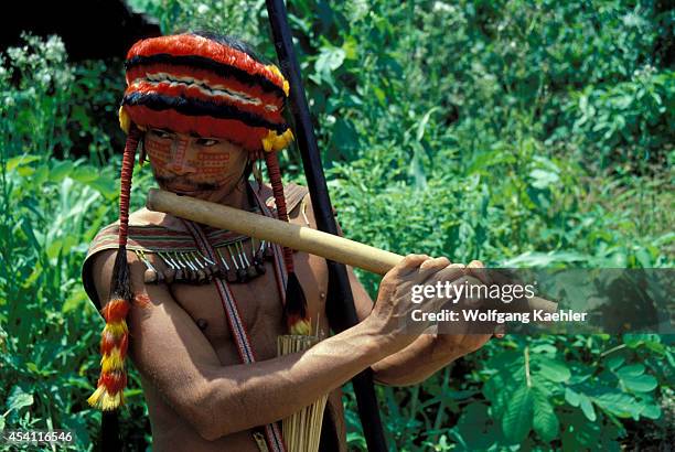 Amazon River, Peru, Jivaro Indian Playing A Traditional Flute.