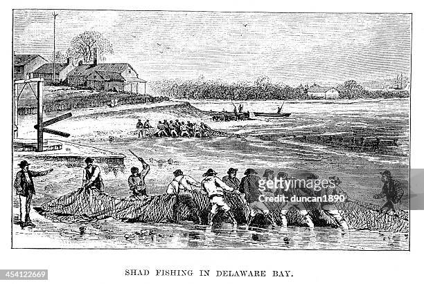 shad fishing in delaware bay - delaware bay stock illustrations
