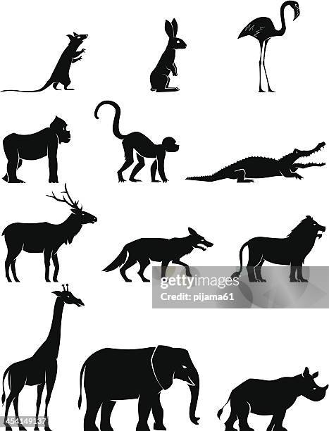 ilustrações de stock, clip art, desenhos animados e ícones de de animal - lion situation