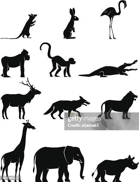 black silhouettes of animals on white background - wolf only white background stock illustrations