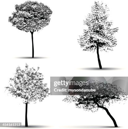 Vector tree silhouettes Vector tree silhouettes