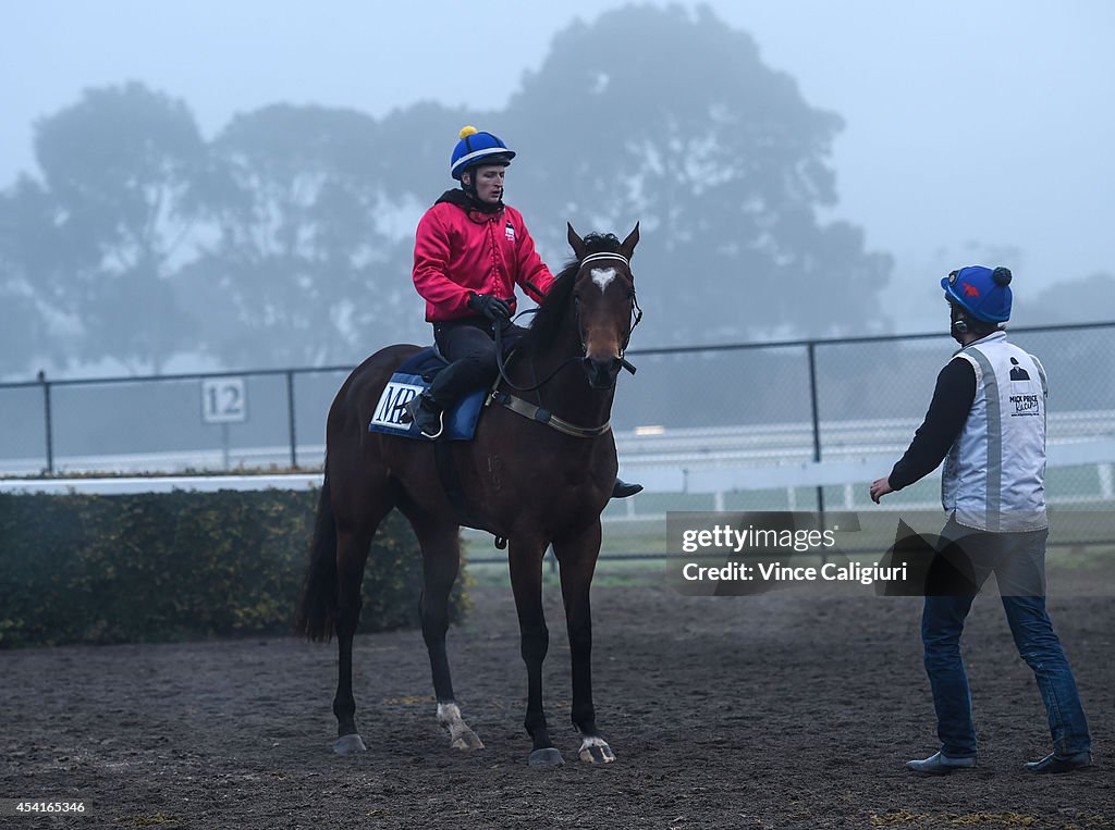 Caulfield Track Work Session