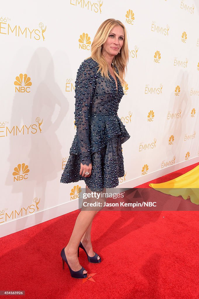 NBC's 66th Annual Primetime Emmy Awards - Red Carpet