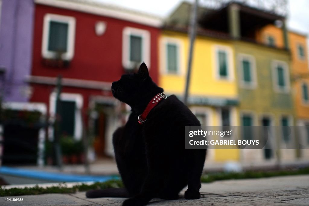 ITALY-FEATURE-VENICE-BURANO