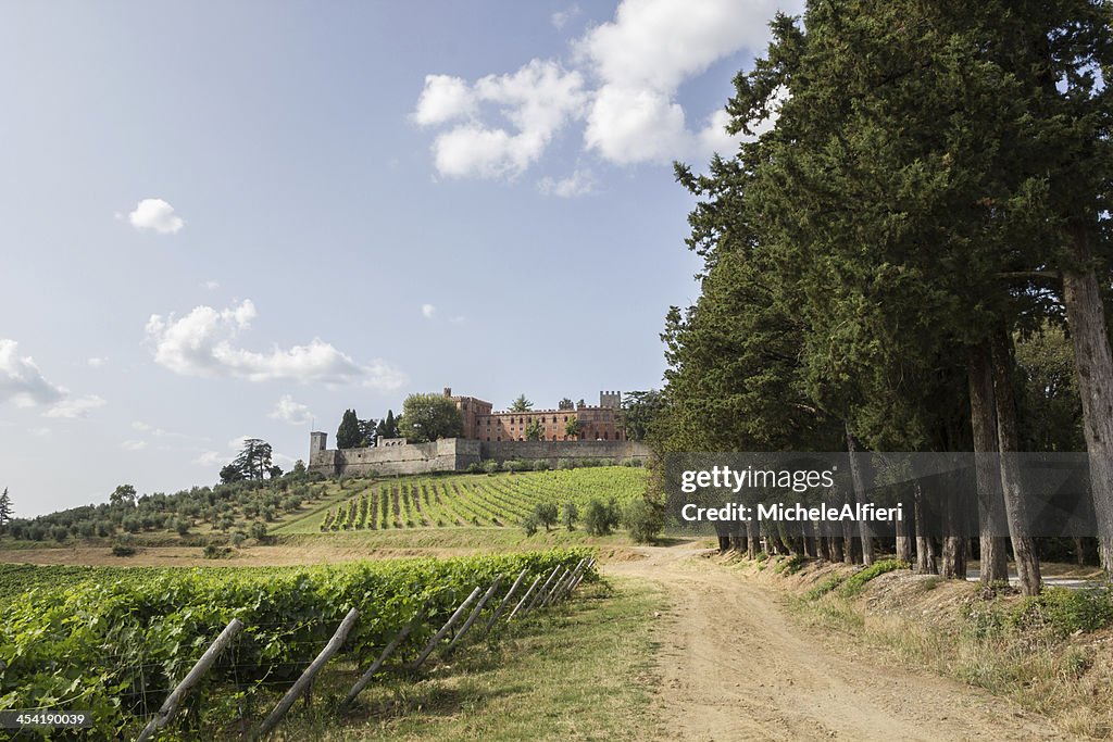 Brolio Castle and the nearby vineyards