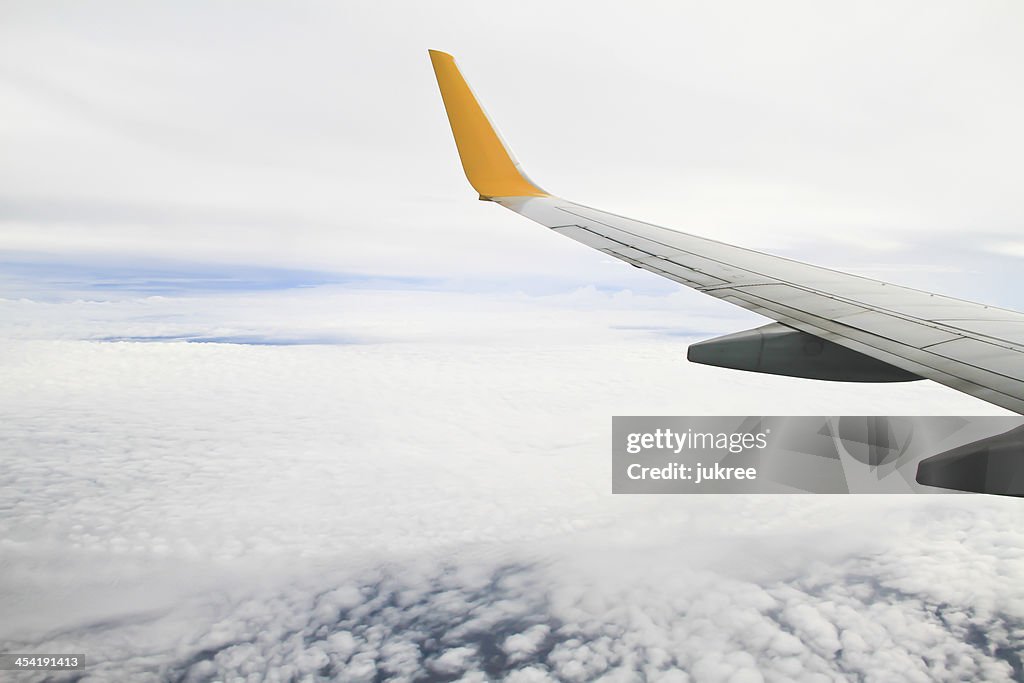 WWing of the plane on sky background