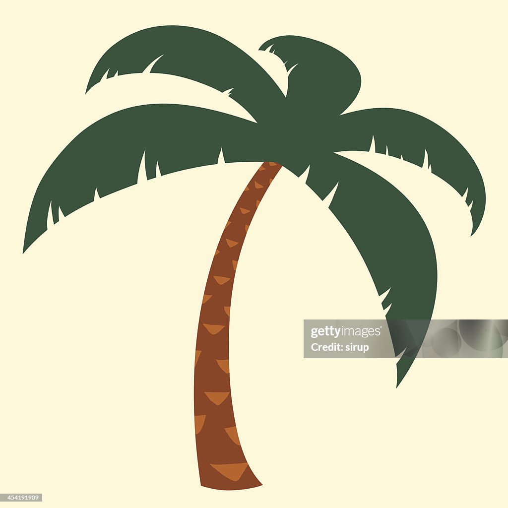 Tropical palm tree illustration