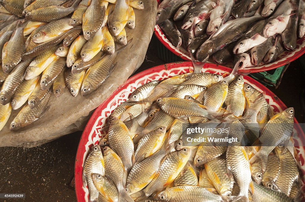 Fresh fish in rural market