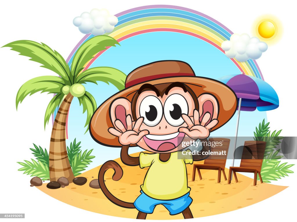 Macaco na praia