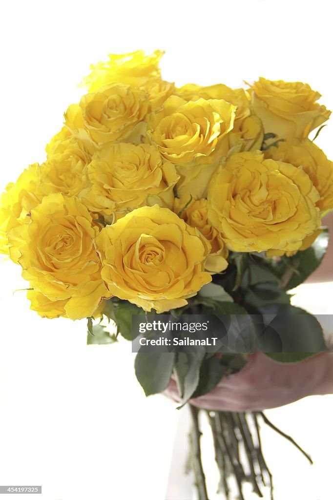 Yellow rose flower bouquet in the hand