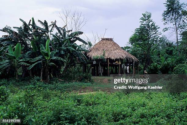 Panama, Darien Jungle, Choco Indian House.