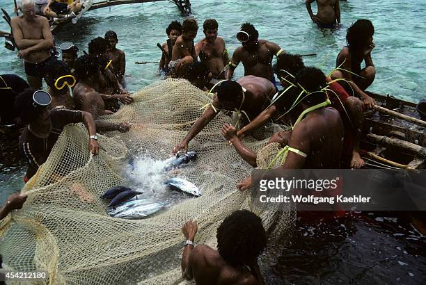 Micronesia, Caroline Isls. Ifalik Island, Native Fishermen Catching Fish W/smaller Nets.