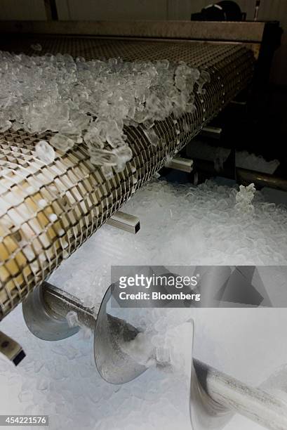 Ice falls off a conveyor belt and into a bin with an auger before being moved to the packaging department for bagging at the Capital City Ice...