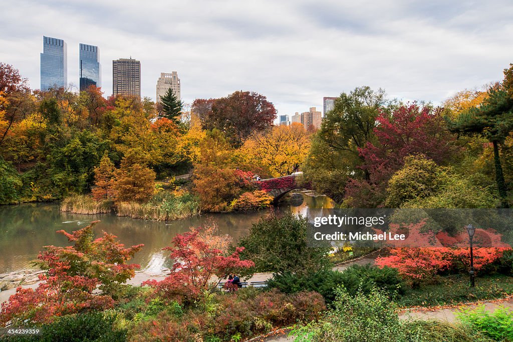 Autumn central park pond