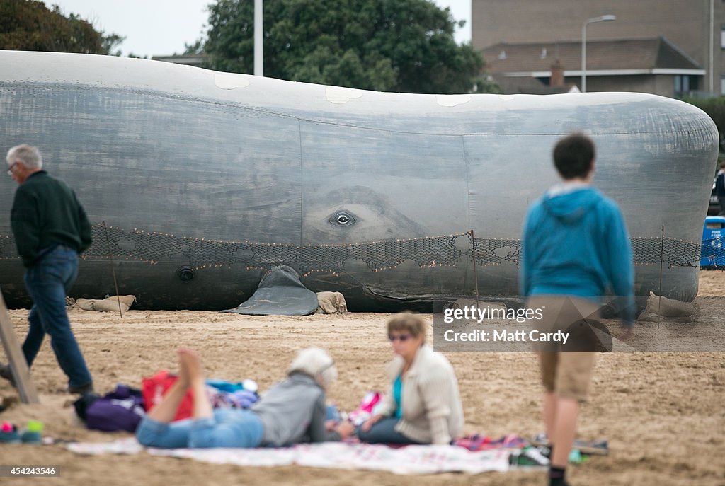 Biblical Whale Inflated On Weston-Super-Mare Beach