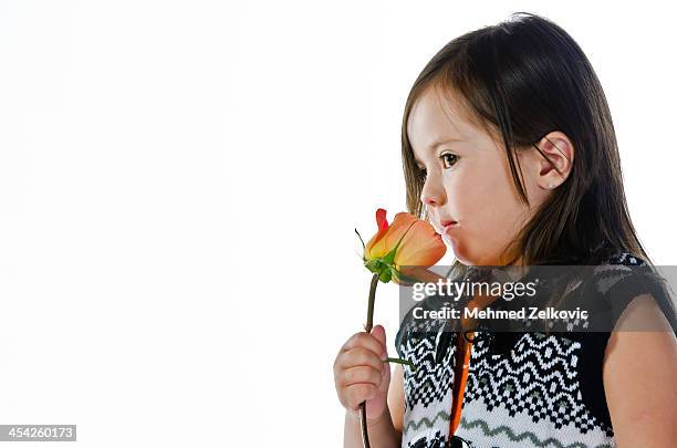 little girl smelling a rose flower - enkele roos stockfoto's en -beelden