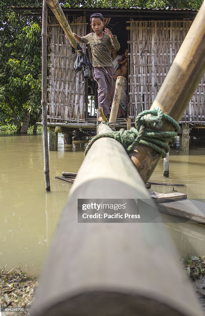 A Mishing boy walks along a makeshift single bamboo bridge...