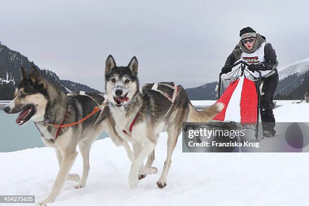 Oscar-Lee Kirchberger attends the Sledge Dog Race - Tirol Cross Mountain 2013 on December 07, 2013 in Innsbruck, Austria.