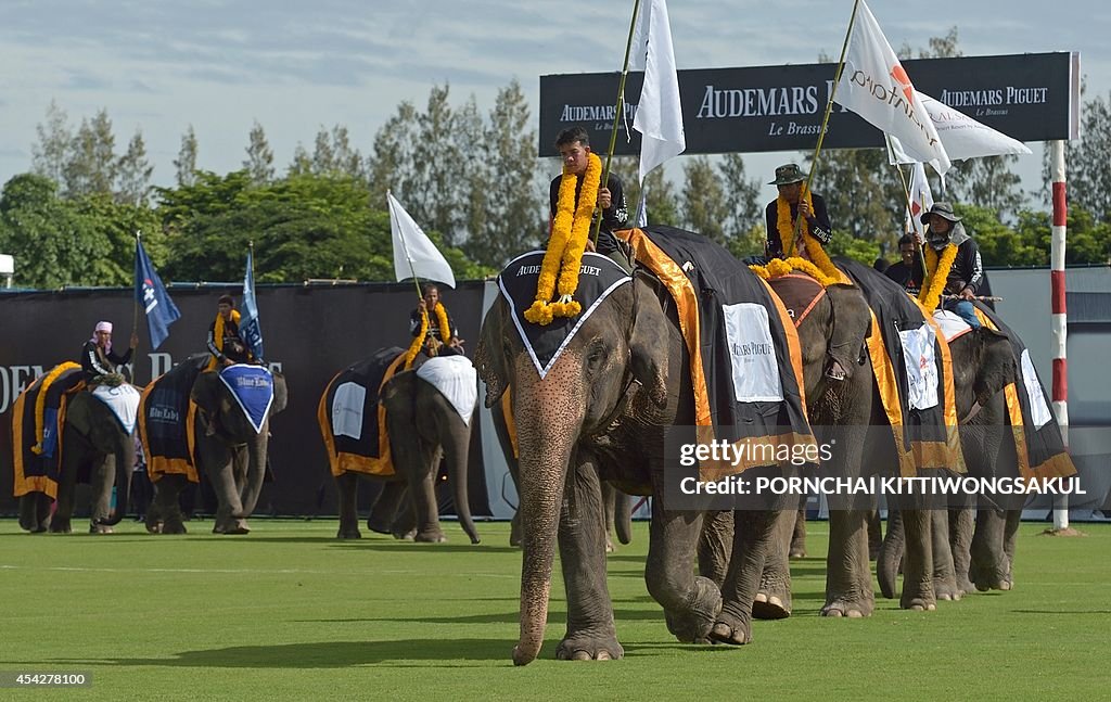 THAILAND-CONSERVATION-ANIMAL-SPORT-POLO